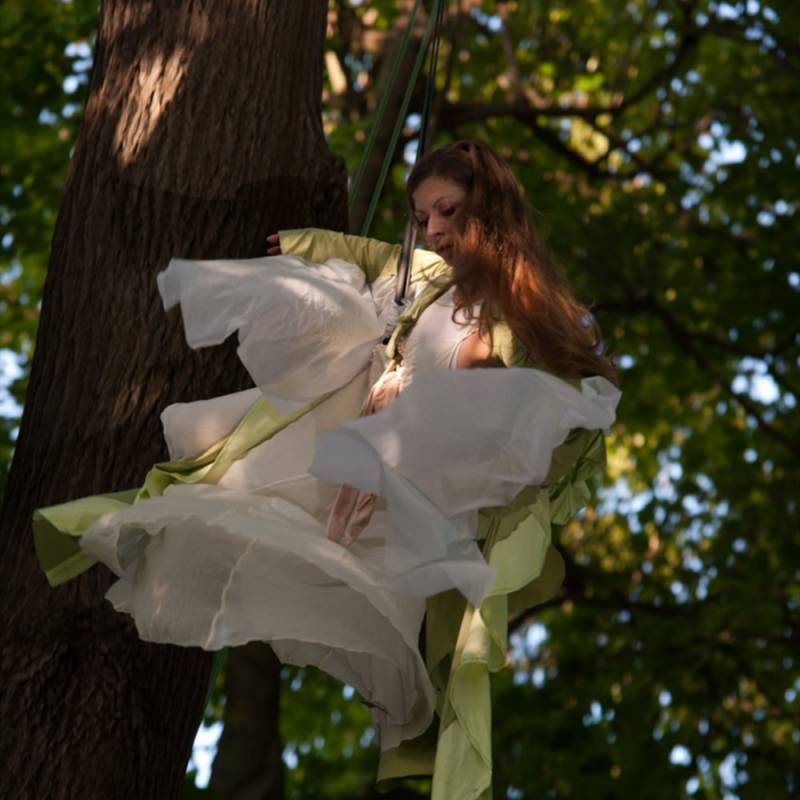danse arienne avec arbre Compagnie Deux (2) Scnes en Corps