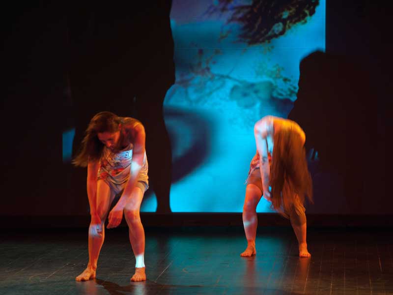 Compagnie Deux Scnes en Corps